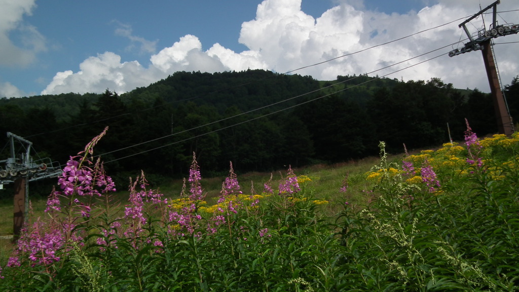 夏休み-別れたあと