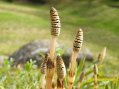 '10.04-7thudoukouenn