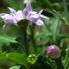 2011/04