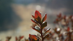 2011年2月26日