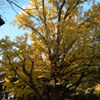 DSCF3179