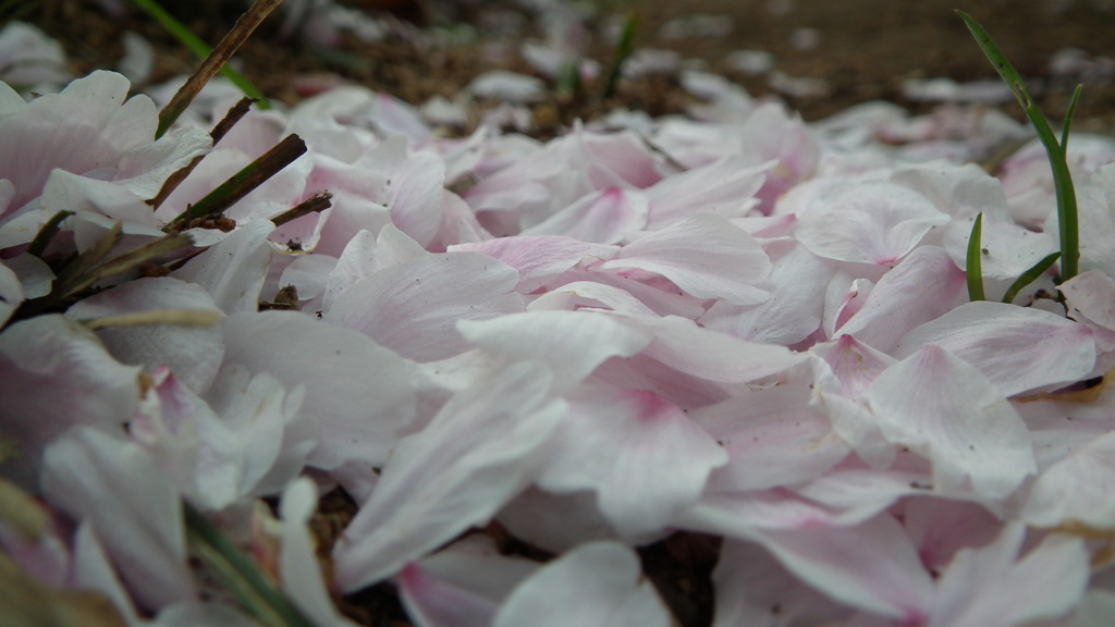 2011/04
