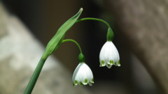 2011/04