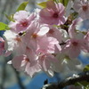 2011/04