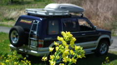 2011/04
