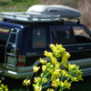 2011/04