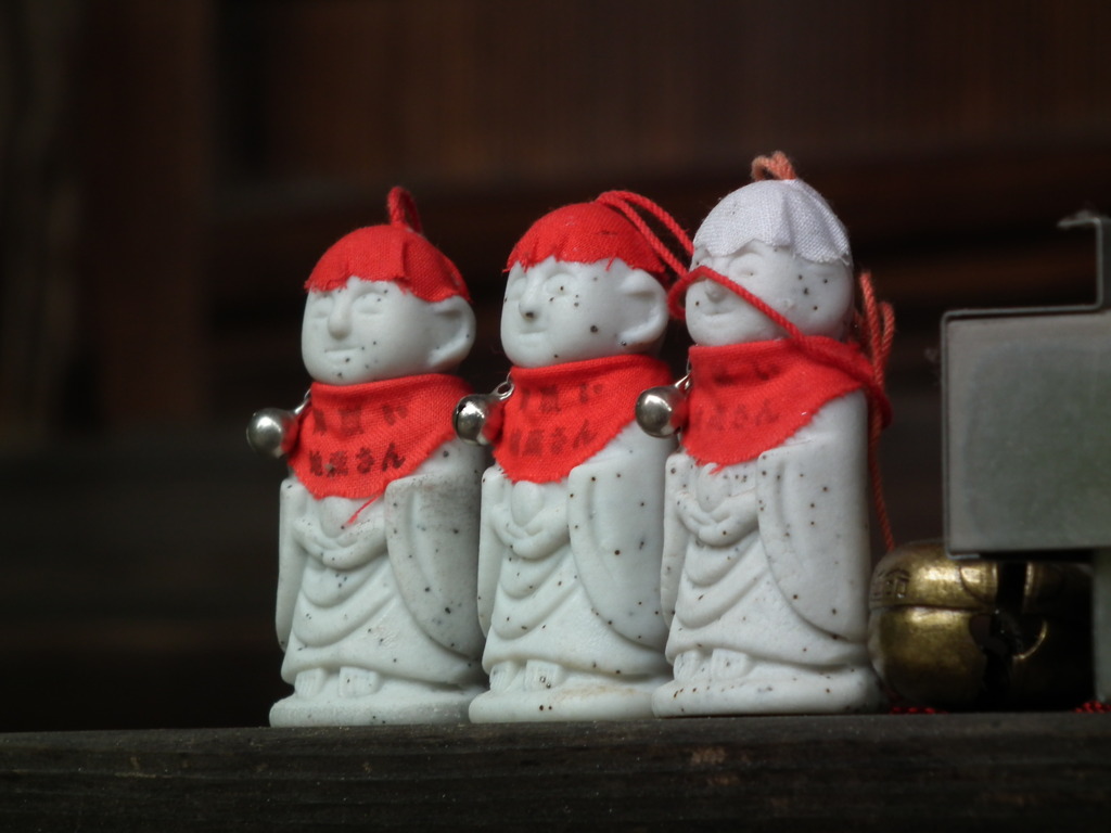 ’10/05-myounji-botan