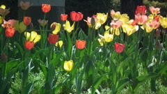 2011/04