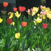 2011/04