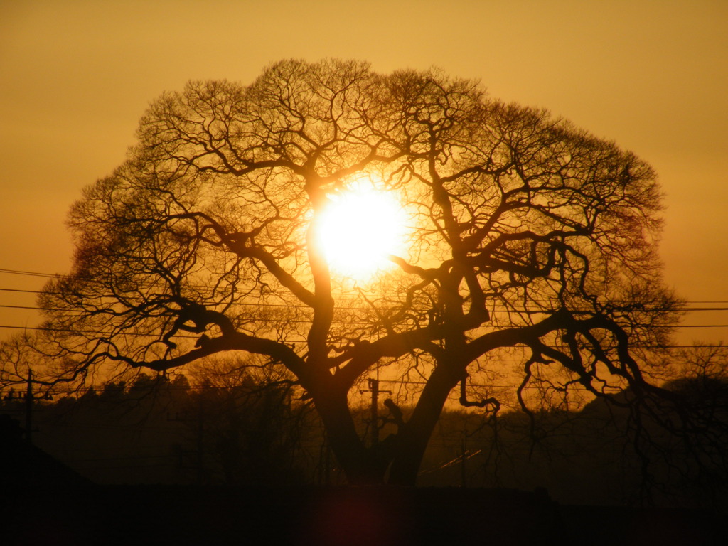 ’10.02－ｔａｔｈｕｎｏｋｕｔｉ