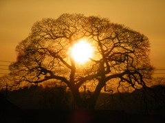 ’10.02-tathunokuti