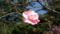 2011/04