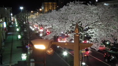 DSCF0681
