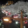 DSCF0681