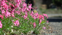 2011/04