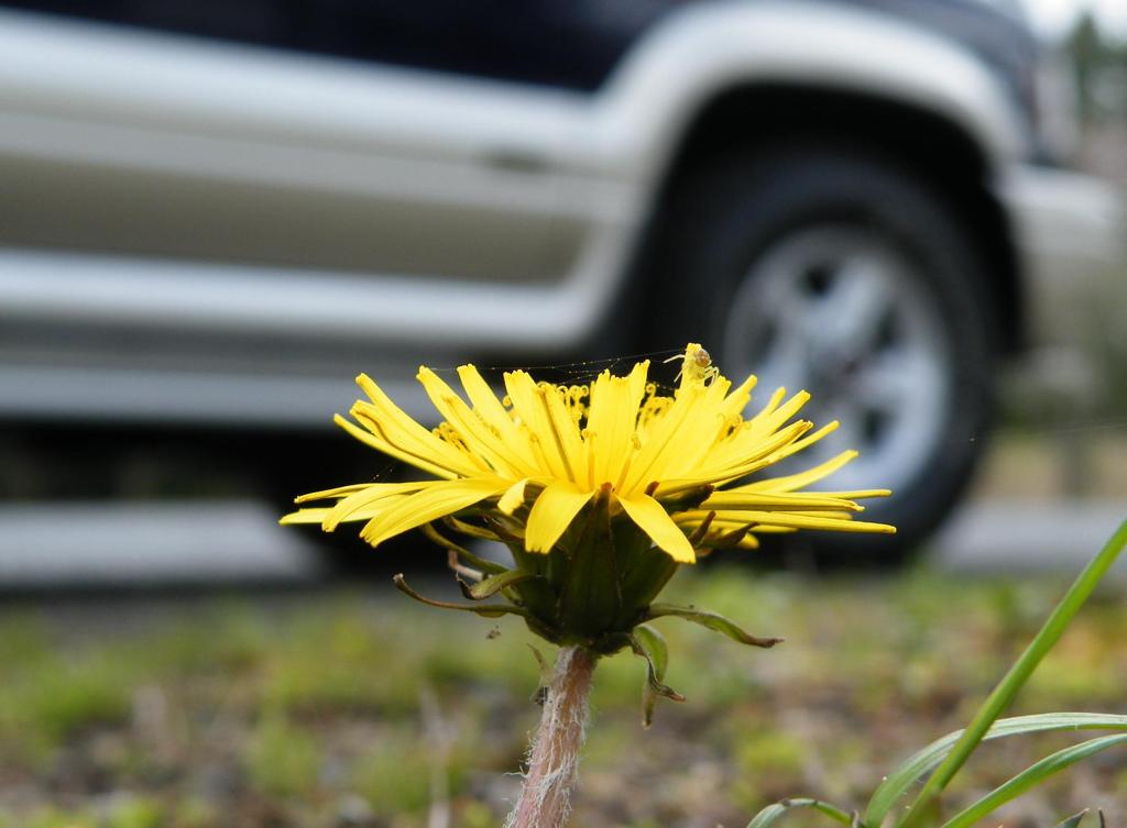 '10.04－7thudoukouen 