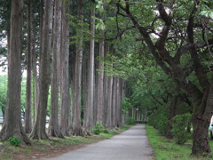 ’10/05-nisinasu-kouen