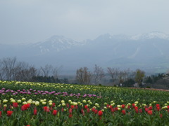 '10.05- nasu hurawapa-ku