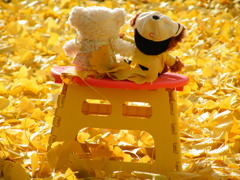 ’09.11-ｔａｒｏ ｔｏ ｈａｎａｋｏ