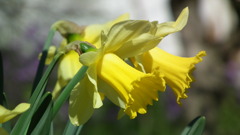 2011/04