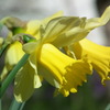 2011/04