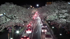 06DSCF0656