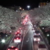 06DSCF0656