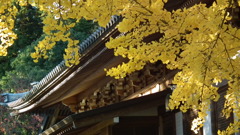 DSCF3182