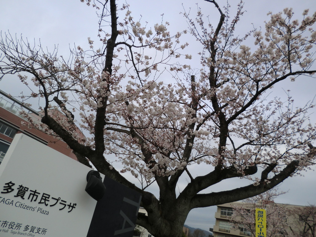 村岡さん高瀬さん送別会