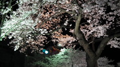 DSCF0587