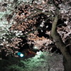 DSCF0587