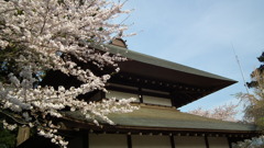 2011/04