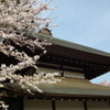 2011/04
