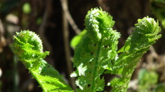 2011/04