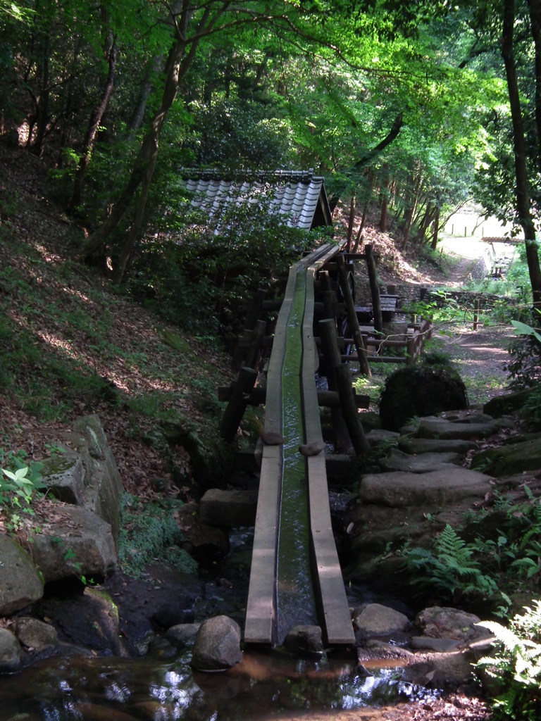 '10.06-kitayama-kouen