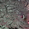 07DSCF0668