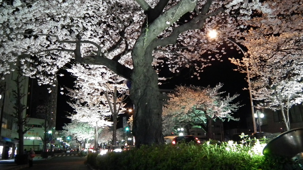 DSCF0711