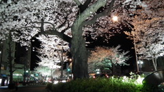 DSCF0711