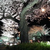 DSCF0711