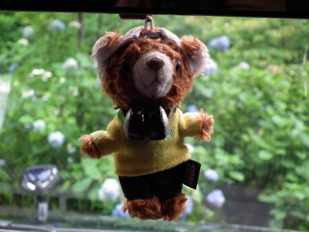 ’10/06　ｔａｒｏ＆ajisai