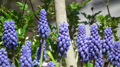 2011/04