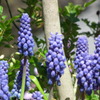 2011/04