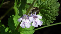 2011/04