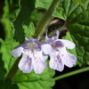 2011/04