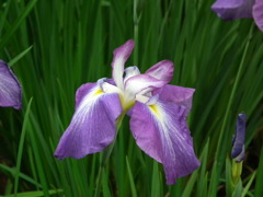 '10.06-haniwa-lkouen