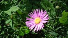 '10.08-益子~那須