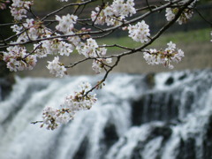 ’10.04-ryumon no taki