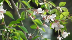 2011/04