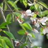 2011/04