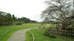 DSCF3533